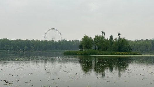 “天上水”藏在“湖底下”：探秘北京中心城区的“大海绵”